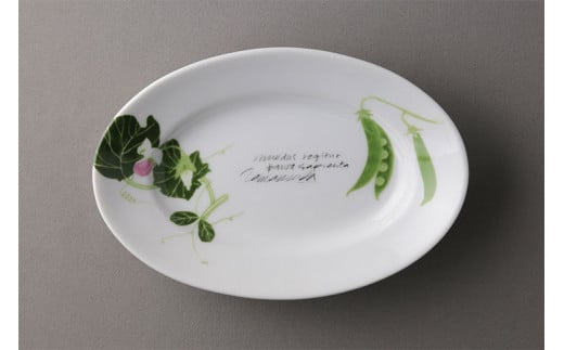 【ヴィラデストワイナリー】ベジタブルシリーズ食器　オーバルプレート（楕円形）２枚（エンドウとズッキーニ）セット