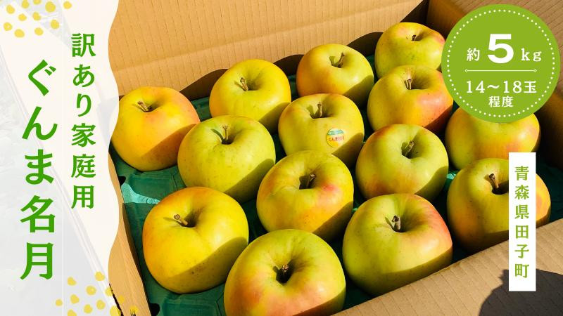 
                  【訳あり】青森りんご田子の家庭用ぐんま名月 約5kg （11月出荷）
                