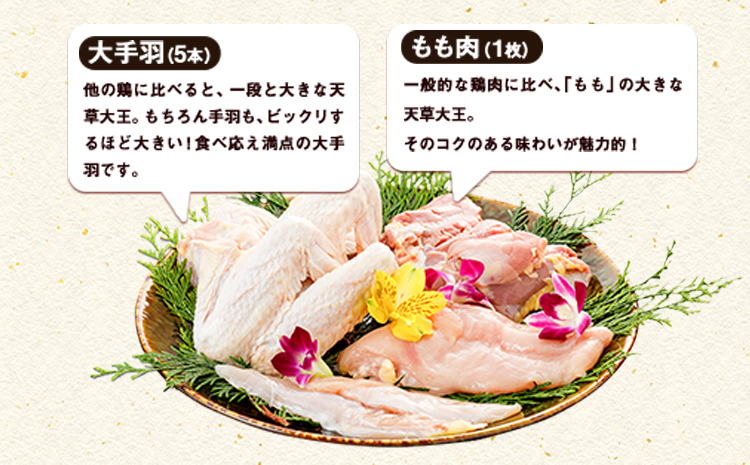 熊本県産 天草大王セット《60日以内に出荷予定(土日祝除く)》 もも肉 むね肉 ささみ 大手羽 パック  鶏肉---sn_f501daio_60d_21_11000_8p---st-p