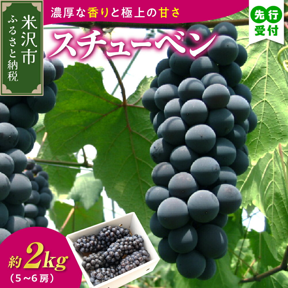 【ふるさと納税】【先行予約 数量限定】令和7年産 スチューベン 2kg 5～6房 ぶどう【9月下旬～10月下旬頃お届け】2025年産 農家直送 産地直送 令和7年 種あり ブドウ 葡萄 フルーツ 果物黒系 黒ぶどう 観光果樹園 山形県 米沢市 秋 旬