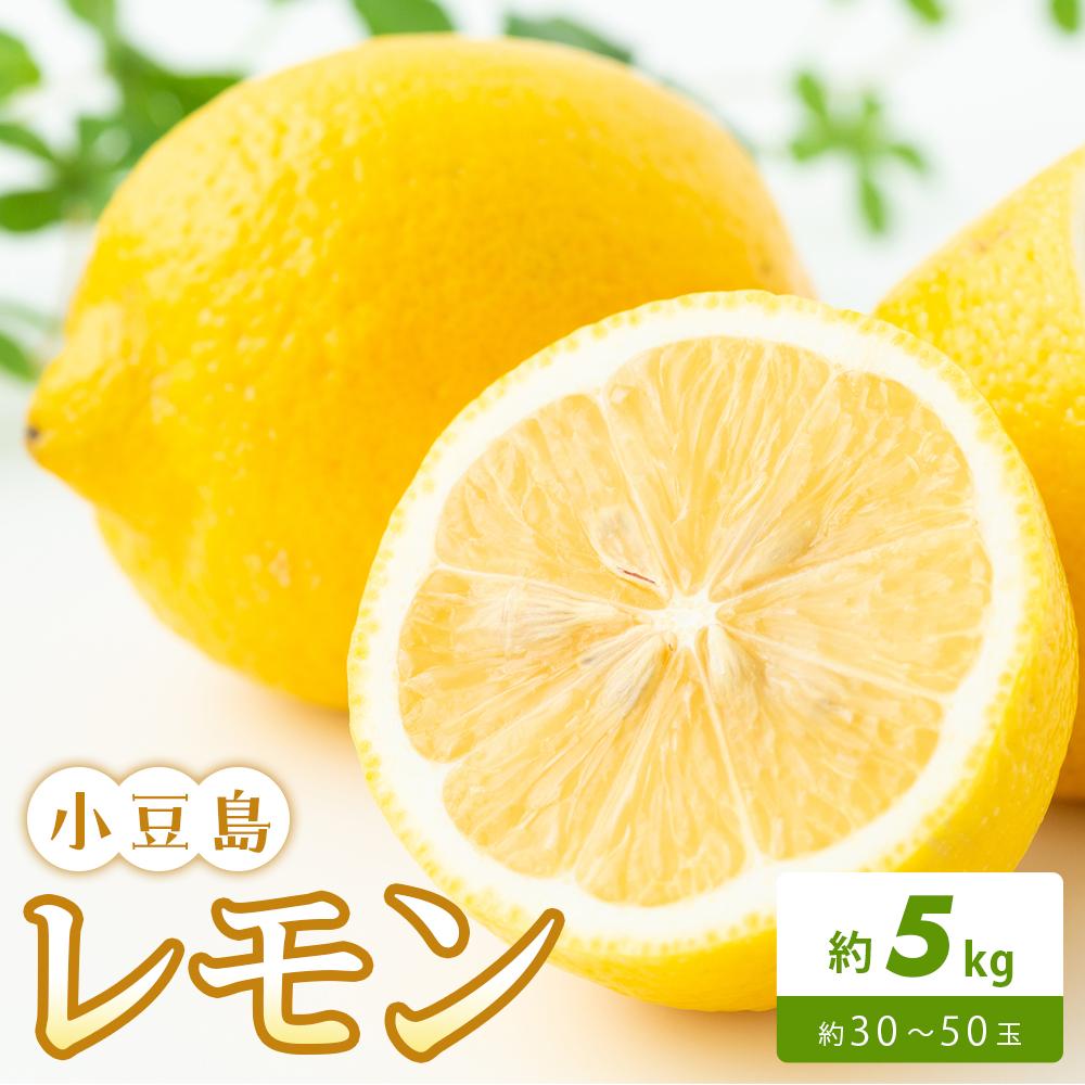 【ふるさと納税】小豆島レモン 約5kg