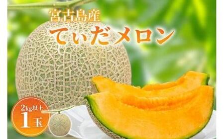 ＜先行受付＞【8farm】宮古島産てぃだメロン1玉（2kg以上）《2026年4月～5月発送》（JC012）