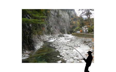 アウトドア イベント 体験 「面河川の鑑札（遊漁券）：仁淀川に繋がる清流 ”面河川” での渓流釣り（腕章 釣）一般用」｜家族 旅行 男の子 女の子 夏休み 長期休暇  愛媛 久万高原町