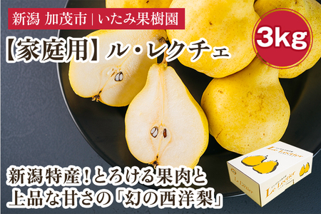 【2026年先行予約】新潟特産 幻の洋梨ル・レクチェ 家庭用 約3kg（7〜11玉）《11月下旬～順次出荷》 令和5年新潟県ル・レクチェ果実品評会「県知事賞」 加茂市 いたみ果樹園