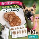 【ふるさと納税】ペットフード 三崎マグロ 100%ハンバーグ 10個セット ペット 愛犬 愛猫 おやつ ご褒美 ごはん 猫 犬 てづくり 国産 ドッグフード 【ペットフードYM japan】[AKEX002]