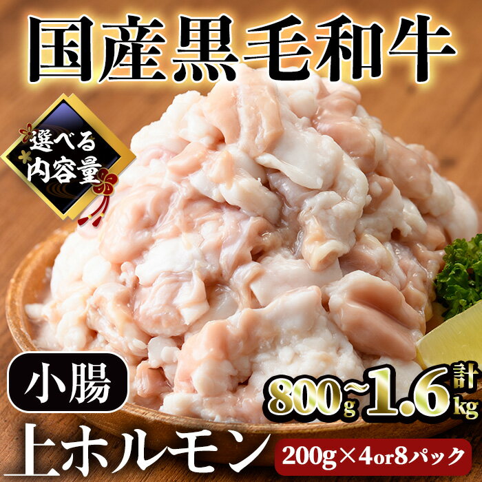 【ふるさと納税】【鮮度抜群！】＜内容量が選べる＞国産黒毛和牛小腸（上ホルモン計800g～1.6kg）牛 牛肉 国産 冷凍 黒毛和牛 食べ比べ ホルモン 焼肉 焼き肉 お鍋 鍋 おつまみ 小分け もつ もつ鍋【カミチク】