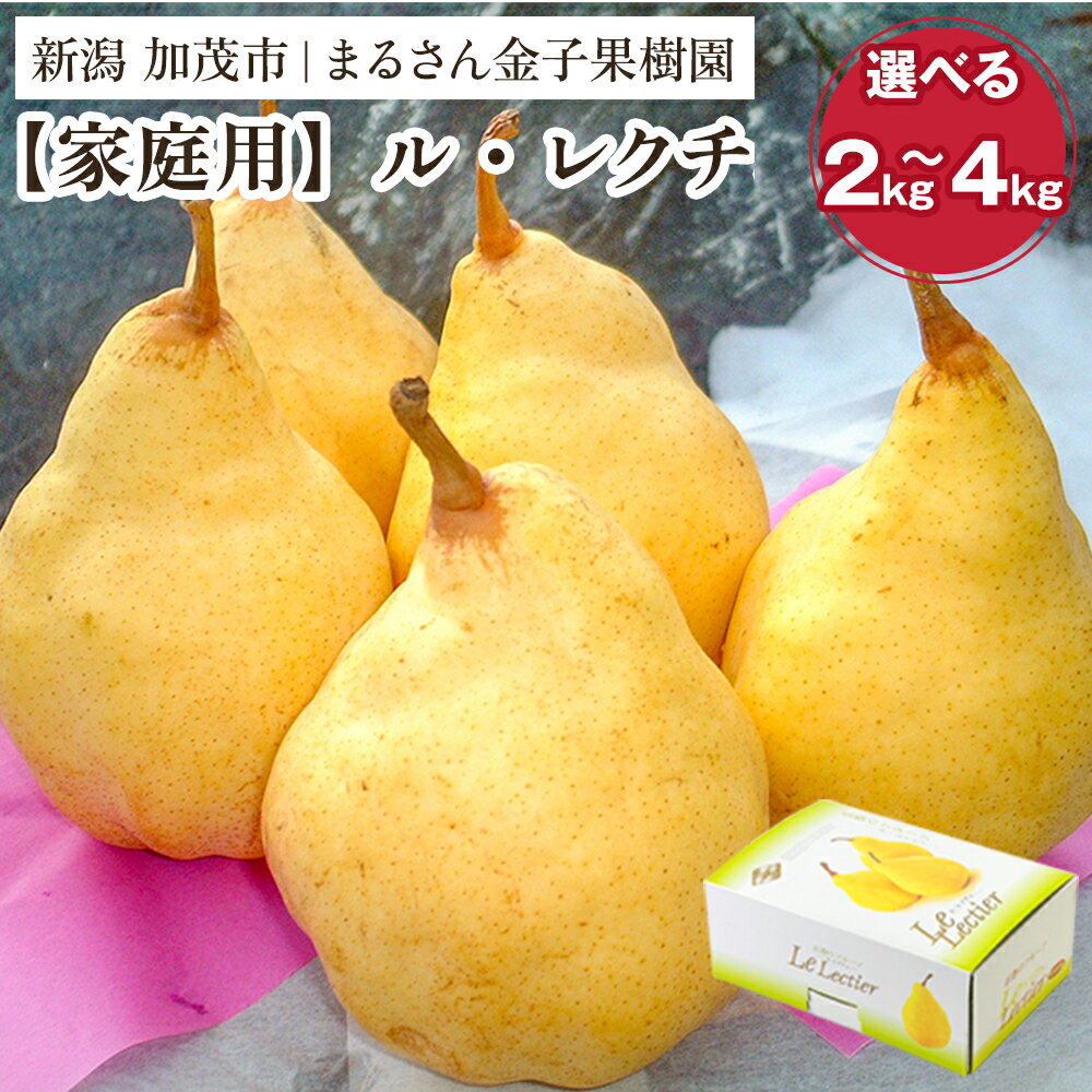 【ふるさと納税】【2026年先行予約】【贈答用】ル・レクチェ 選べる内容量 「2kg」or「3kg」or「4kg」《12月上旬から順次発送》 果物 梨 洋梨 西洋梨 フルーツ 冬の味覚 デザート 産地直送 加茂市 まるさん金子果樹園