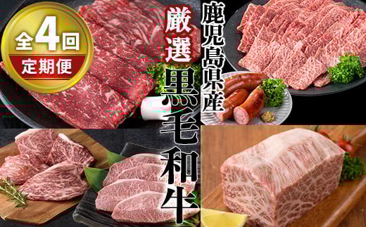 ＜定期便・全4回＞カミチク 厳選定期便 黒毛和牛 小分け 詰め合わせ【カミチク】T25-v01