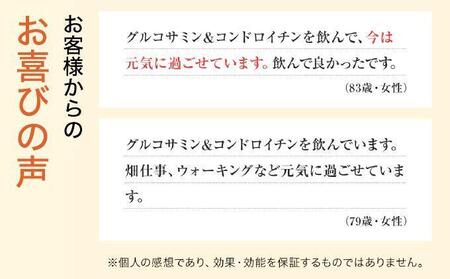 ＜定期便全6回＞グルコサミン＆コンドロイチン（28313）【006-a106】