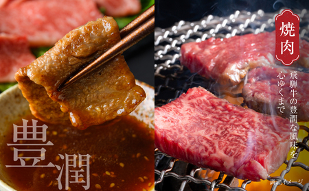 飛騨牛 赤身焼肉 600g 黒毛和牛 和牛 飛騨高山ミート [MZ006]