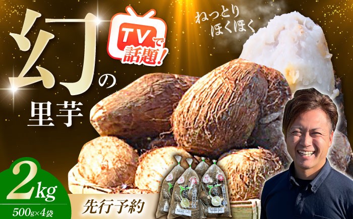 
                  【先行予約】【メディア多数掲載！開成弥一芋】ホクホクねっとりやわらか〜い里芋 2キロ【文命農業】開成町 サトイモ さといも 野菜 [BDAX002]
                