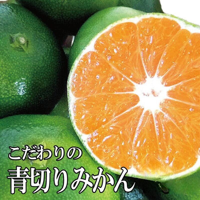 【ふるさと納税】＼レビューキャンペーン中／【先行予約】【2025年秋頃発送予約分】＼農家直送／こだわりの青切りみかん 【選べる容量】※北海道・沖縄・離島配送不可 / 温州みかん 蜜柑 ミカン 柑橘 由良町 果物 フルーツ 産地直送 和歌山県