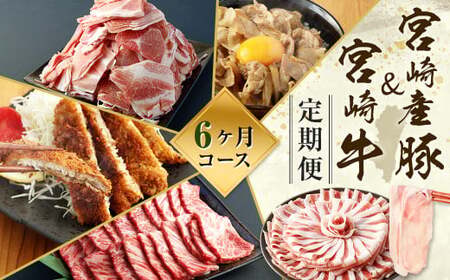 ＜ミヤチク 宮崎県豚・宮崎牛6ヶ月定期便＞お申込みの翌月下旬頃に第一回目発送（12月は中旬頃）【c1313_mc_x2】 総量13.2kg  牛肉 和牛 黒毛和牛 4等級以上 ブランド牛 肉 宮崎牛 豚肉  国産 小分け セット 定期便 6回 新生活応援 卒業祝い 就職祝い 入学 卒業 お花見 引越し
