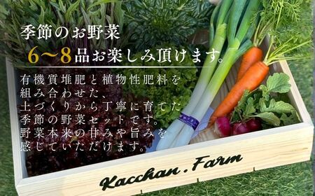 【定期便6ヶ月】季節の野菜詰め合わせ Aセット 野菜食べ比べ 旬の野菜 野菜セット定期便 | 石川県 小松市 【Kacchan.Farm】