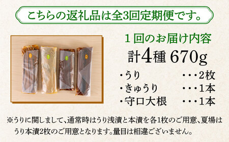 【全3回定期便】奈良漬 「琥珀漬」670g ご家庭用 詰め合わせ [ABAE028]
