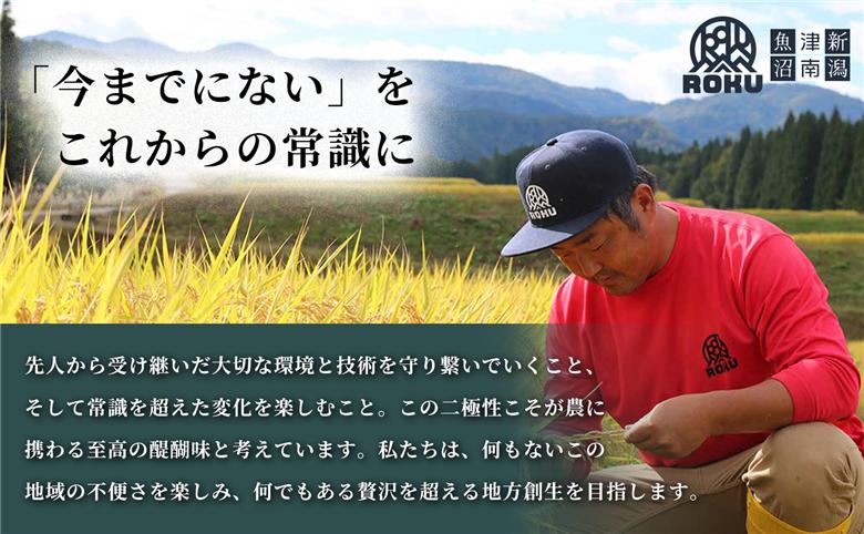 【令和8年産先行予約】朝採れ トウモロコシ（6本）2Lサイズ 1セット 新潟県 津南町  155751-009