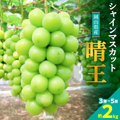 【ふるさと納税】【2026年発送】岡山名産【晴王】シャインマスカット2kg!8月下旬以降順次発送_ シャインマスカット ぶどう 葡萄 ブドウ 果物 くだもの 訳なし マスカット 晴王 フルーツ 人気 岡山県 津山市 産直 産地直送 ギフト 送料無料 【配送不可地域：離島】【1365277】