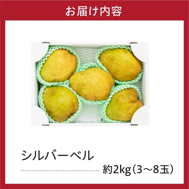 【先行予約】 令和8年産 シルバーベル 約2kg 山形 西洋梨
