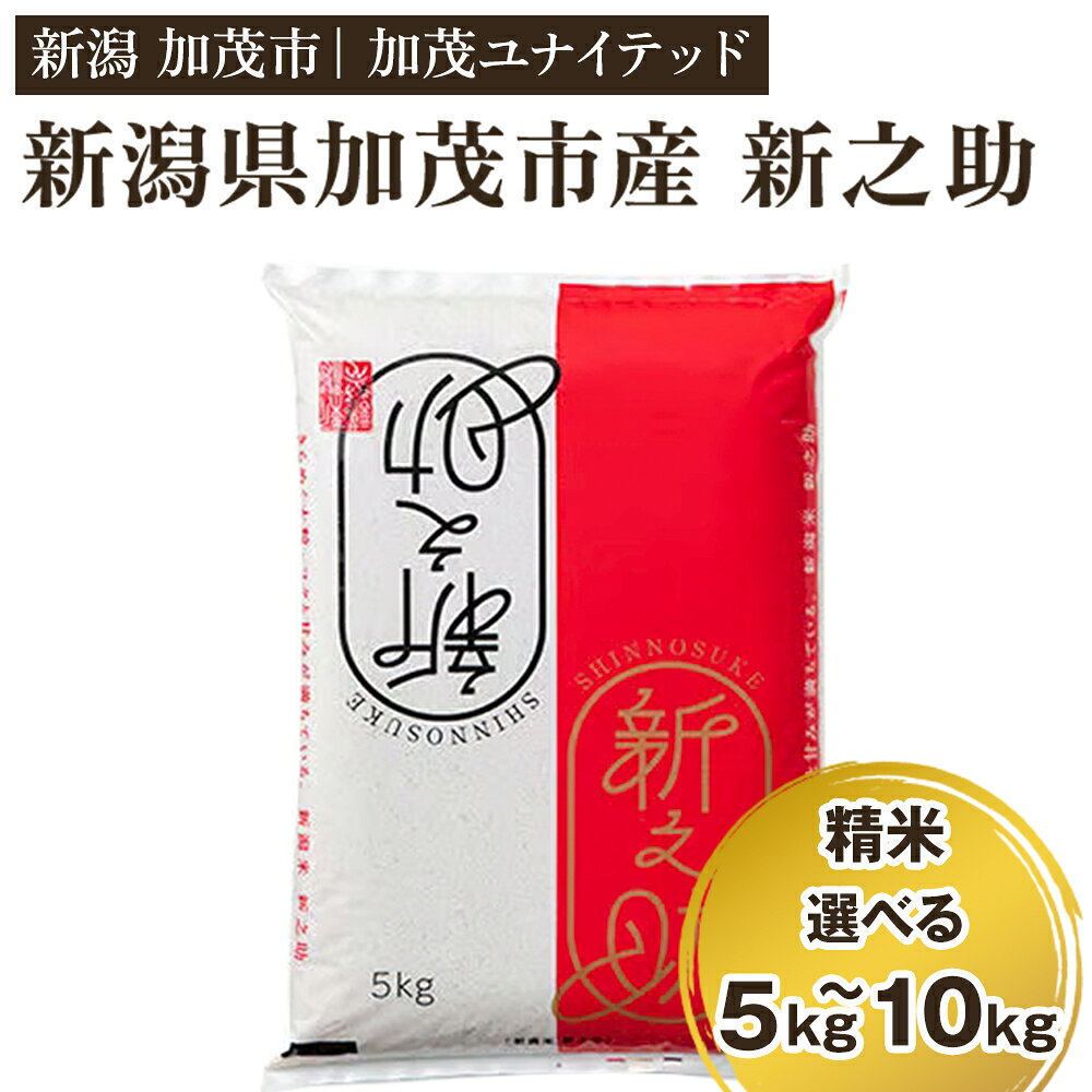 【ふるさと納税】【寄附額見直し】【令和7年産】新潟県産 新之助 精米 選べる 5kg（5kg×1袋） ～ 10kg（5kg×2袋）《順次出荷》 東京・南青山の料亭で使用される極上米 加茂市 加茂ユナイテッド