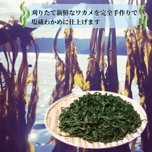 塩蔵わかめ 1kg 100g×10袋 わかめ 海鮮 海藻 魚貝類 魚介類 小分け みそ汁 スープ 酢の物 三陸産 岩手県 大船渡市
