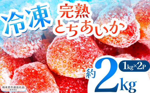 【栃木県共通返礼品】 完熟 冷凍とちあいか 2kg | いちご とちあいか 冷凍 冷凍イチゴ スイーツ ジャム スムージー たっぷり 大粒 甘い 美味しい 果物 デザート 栃木県 那珂川町 送料無料