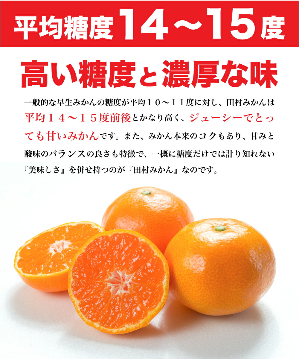 U6239n_「高級 田村みかん」 青秀 約3kg Mサイズ 和歌山県有田産 有田みかん