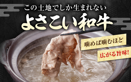 【3回定期便】高知県産 よさこい和牛 上赤身 しゃぶしゃぶ用 総計約1.5kg / 牛肉 牛肉しゃぶしゃぶ 牛肉 牛肉しゃぶしゃぶ 牛肉 牛肉しゃぶしゃぶ [ATAP119]