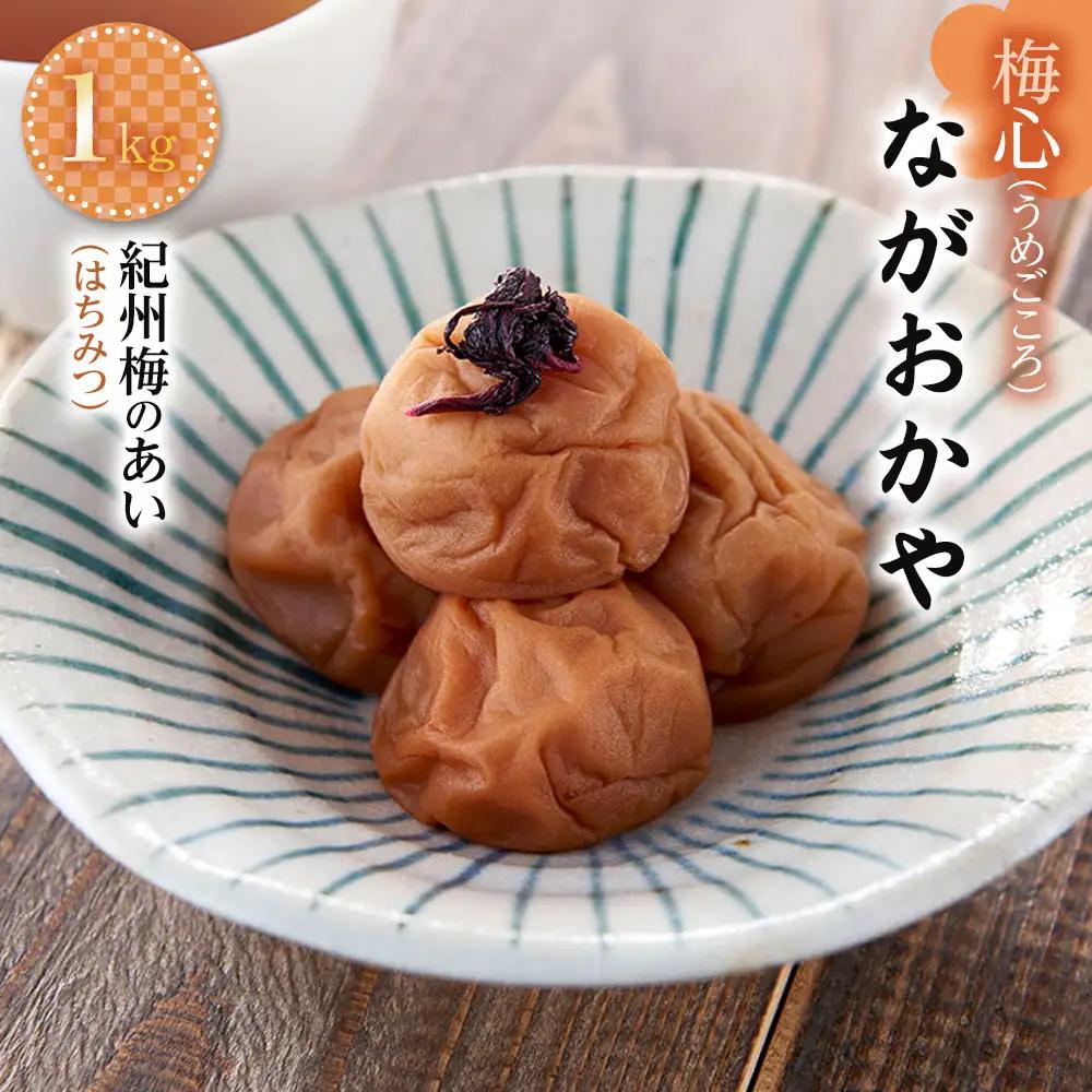 梅心（うめごころ）ながおかや 紀州梅のあい（はちみつ）１kg