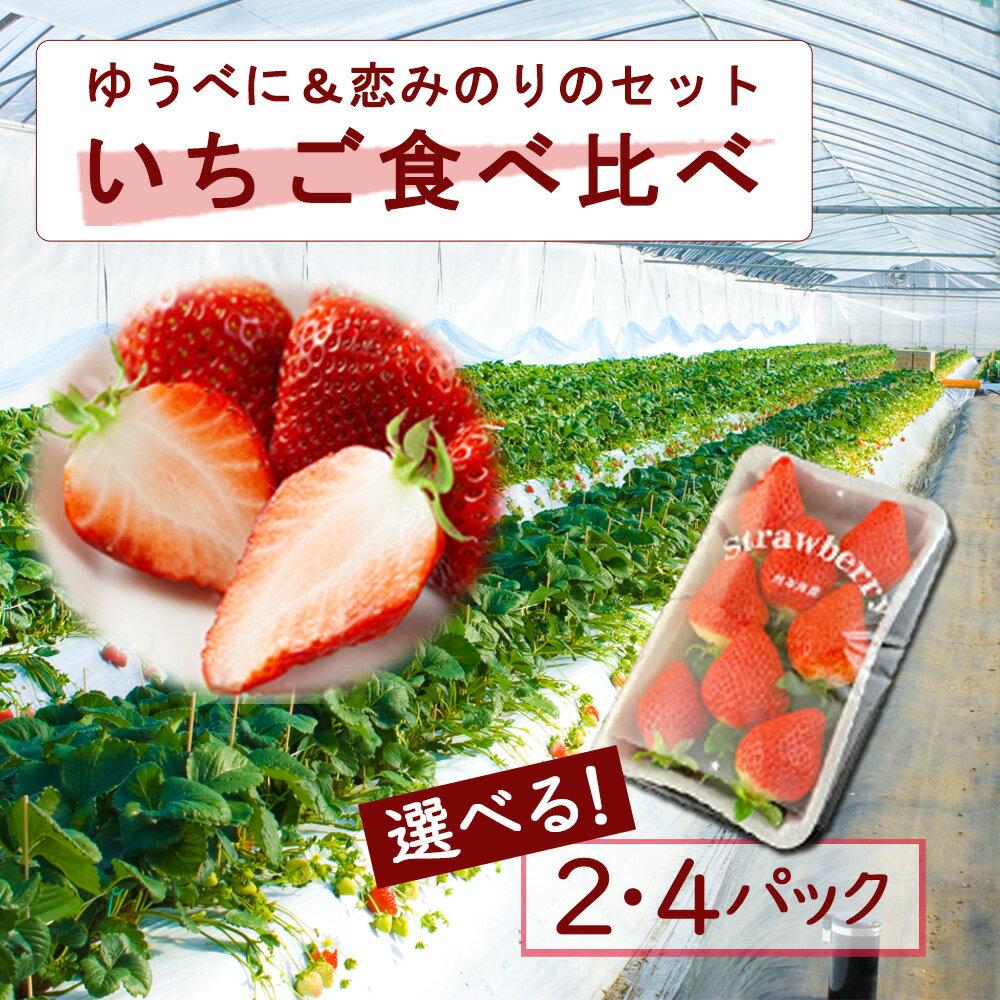 【ふるさと納税】いちご食べ比べセット 選べる 計2パック・4パック ゆうべに 恋みのり 高藤農園 2品種をセット お届け お取り寄せ ギフト 美味しい みずみずしい ジューシー いちご フルーツ 果物 新鮮 旬 ふるさと納税 熊本県 阿蘇市