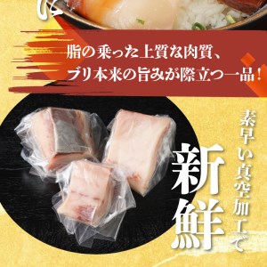 【大和海商】大和ブリの切り身 12ヵ月定期便　N072-ZG051