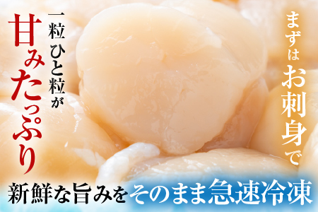 【年内配送対応可○】＼漁業者応援品／【北海道根室産】お刺身帆立貝柱400g×4P D-42060