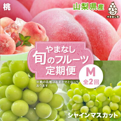 【ふるさと納税】【発送月固定定期便】やまなし旬のフルーツ定期便(桃・シャインマスカット)【M】全2回_ もも ぶどう ブドウ 山梨 フルーツ 果物 セット 贈答 ギフト プレゼント 産地直送 送料無料 【配送不可地域：離島・沖縄県】【4012930】