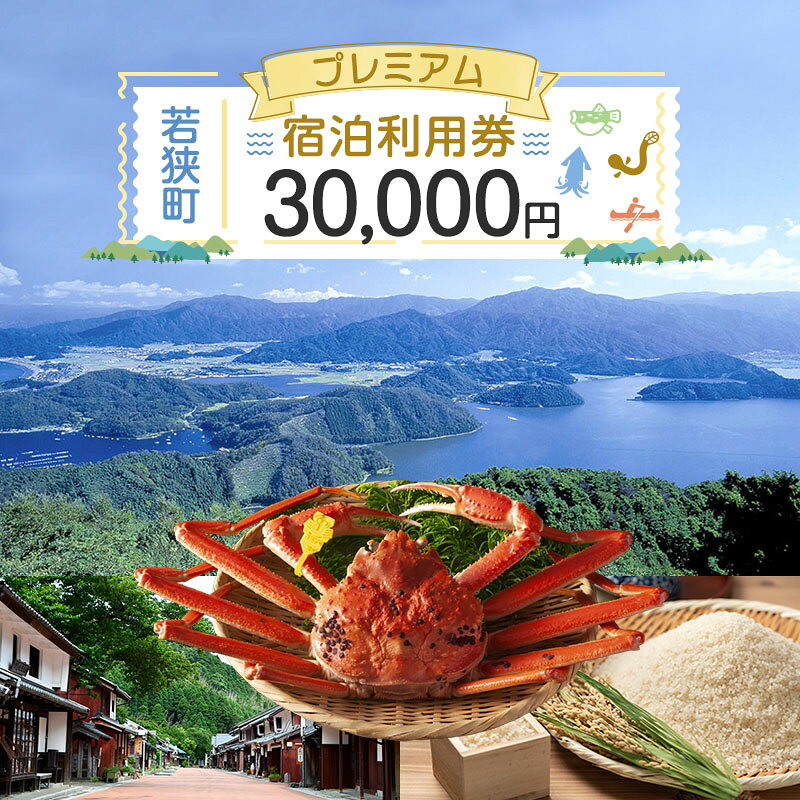 【ふるさと納税】福井県 若狭町 宿泊利用券(各1枚／6,000円分、9,000円分、 12,000円分、15,000円分、30,000円分)ホテル 旅館 温泉 温泉宿 旅行券 宿泊券 トラベル 旅行クーポン