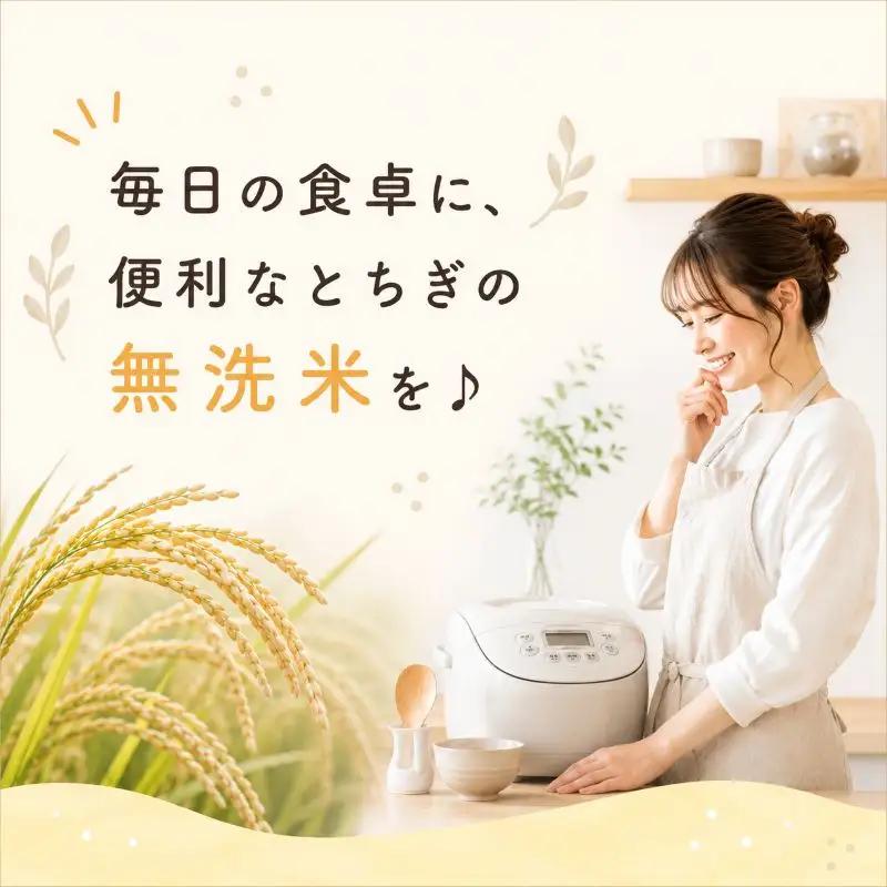 【先行予約】栃木県産コシヒカリ 無洗米 20kg 【栃木県共通返礼品】