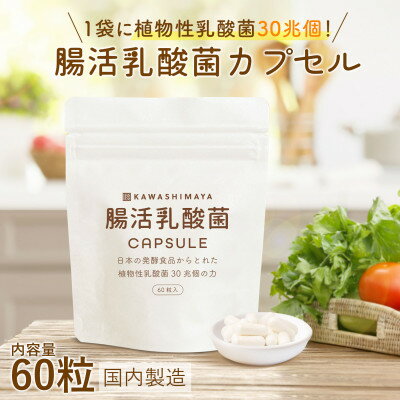 【ふるさと納税】日本の発酵食品からとれた「腸活乳酸菌カプセル」60粒×1袋(1袋:18g)【1620198】