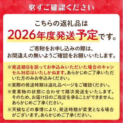 ふるさと納税 大江町 《先行受付》すもも(プラム)約4kg 2種以上【2026年8月中旬頃〜発送予定】001-076 |  | 01