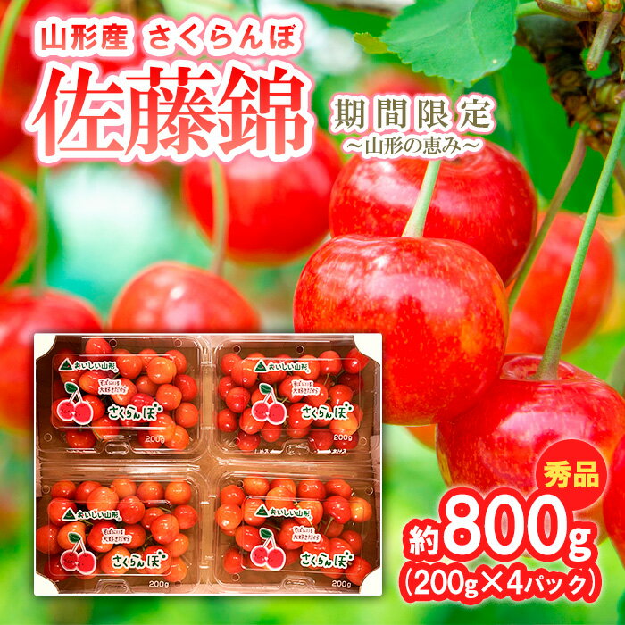 【ふるさと納税】さくらんぼ【佐藤錦】約800g (200g×4パック) 期間限定〜山形の恵み〜 【令和8年産先行予約】FS24-527 くだもの 果物 フルーツ 山形 山形県 山形市 お取り寄せ 2026年産