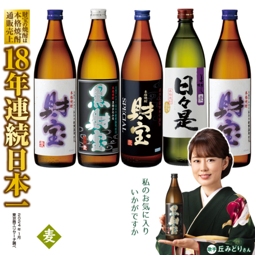 A1-22496／麦焼酎 飲み比べセット 5合瓶 4種5本セット