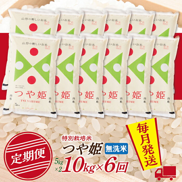 【ふるさと納税】【定期便】【無洗米】令和8年産 山形県産 つや姫 10kg (5kg×2) 6回配送　【初回R9年1月発送】