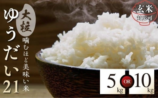 【玄米】特別栽培米 令和7年産 ゆうだい21 飛騨産 玄米 10kg 単品 米 新米 阪口農園 特A 米 こめ コメ ごはん 単一原料米 飛騨市 32000円