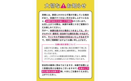 【訳あり・数量限定】 殻付き牡蠣 約3kg 【 天然 牡蠣 かき カキ 殻付き 生食 真牡蠣 冷蔵 国産 三陸産 広田湾 マルテン水産 】 RT2794