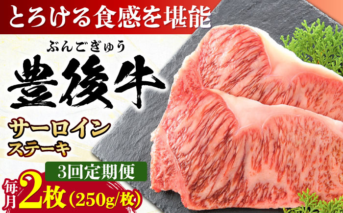 
                  【全3回定期便】おおいた豊後牛 サーロインステーキ 500g (250g×2枚) 日田市 / 株式会社MEAT PLUS 牛肉 おおいた豊後牛 おおいた 豊後牛 黒毛和牛 サーロイン サーロインステーキ ステーキ 国産 和牛 [AREI056]
                