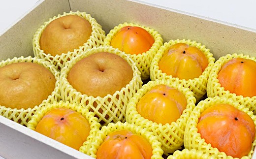
            梨と西条柿とドライフルーツ詰合せセット＜11月～11月中旬のお届け＞ 梨 ナシ 和梨 かき 柿 西条柿 果物 フルーツ くだもの ドライフルーツ セット 詰め合わせ【032_0498】
          