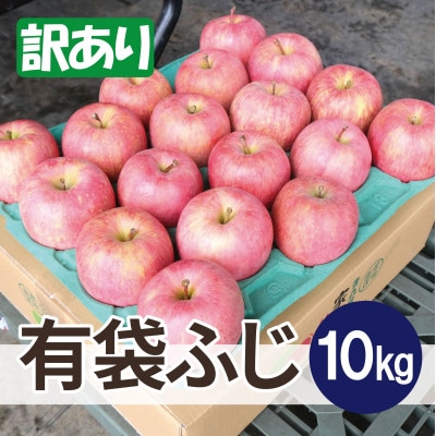 【27年4月から順次発送】平均糖度13度以上! 有袋ふじ 約10kg 訳あり CA貯蔵 クール便【配送不可地域：離島・沖縄県】