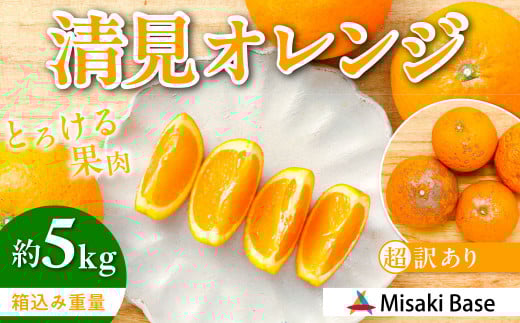 【先行受付】【※超訳あり】清見オレンジ 5kg ※離島への配送不可 （2026年3月中旬より順次発送）  【 ふるさと納税 人気 おすすめ ランキング みかん 柑橘 ミカン 蜜柑 mikan 果物 清見 清見オレンジ フルーツ 糖度 甘い きよみ タンゴール 温州 オレンジ 家庭用 おすそ分け 訳あり Misaki Base 愛媛県 伊方町 送料無料 】 IKTAB009