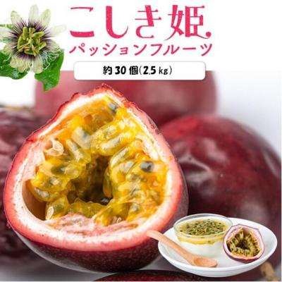 ふるさと納税 薩摩川内市 【先行受付】数量限定 甑島のパッションフルーツ 2.5kg ご自宅用 BS-639