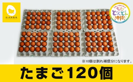 美ら卵養鶏場の新鮮で濃厚な卵【120個入り】