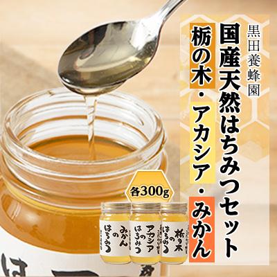 ふるさと納税 鹿沼市 ＜創業100年＞国産天然はちみつ300gおすすめセット