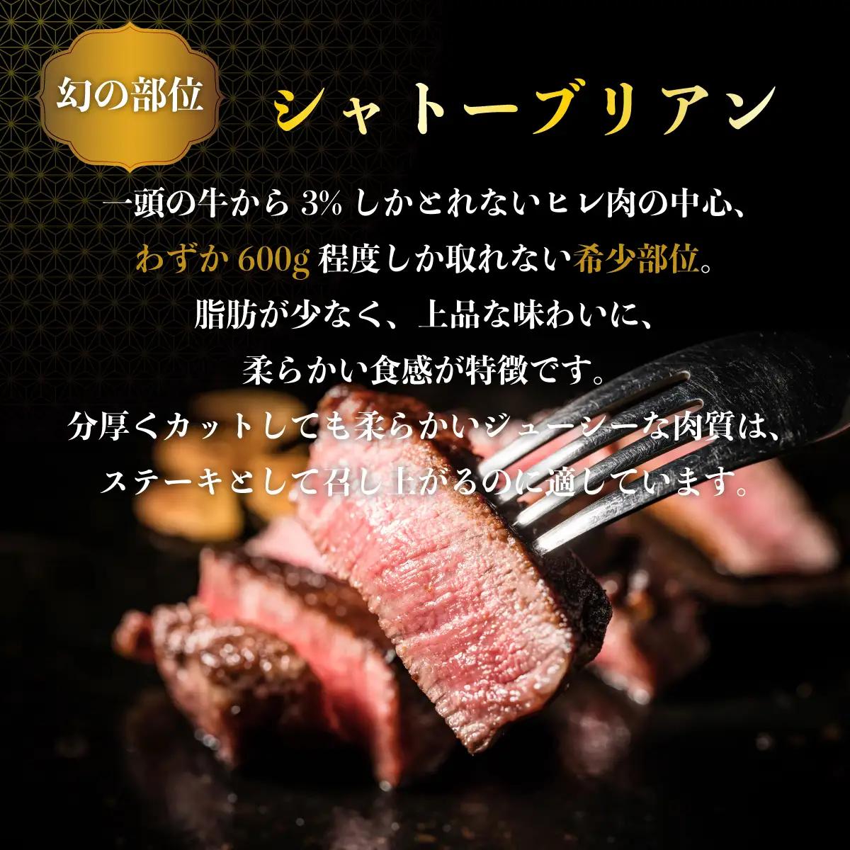  ＜定期便10回＞佐賀牛シャトーブリアン 計10kg (1kg×10回)