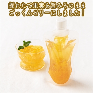 手づくりごっくんゼリー 10本セット 130ml みかん２種（グラニュー糖と粗糖）、 キウイ（グラニュー糖）【 家庭用 自宅用 贈答品 贈答用 ギフト お取り寄せ お中元 お歳暮 贈り物 お祝い 神奈